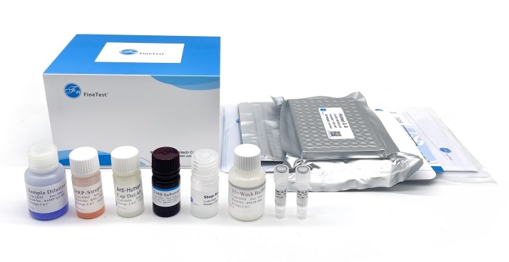 Finetest 한국공식대리점