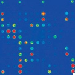 Grace Bio Labs 공식대리점- MICROARRAY TOOLS