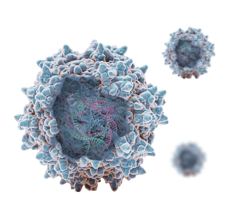 AAV Testing Services