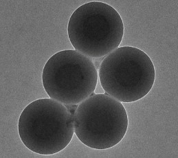 PLA Particles-COOH, 0.3 um