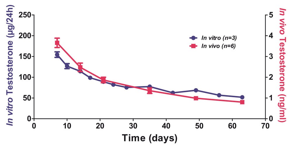 T-R - testosterone 30 days