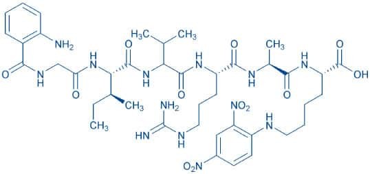 Bachem 한국공식대리점