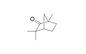 (-)-Fenchone의 분자 구조식