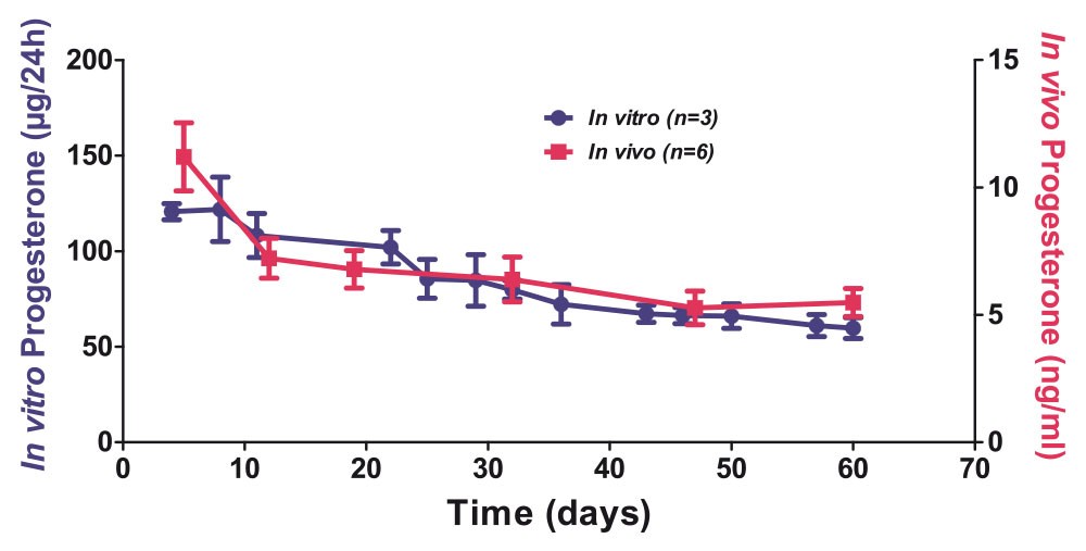 Belma Technologies 한국공식대리점