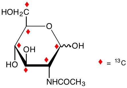 N-acetyl-D-[UL-13C6]glucosamine