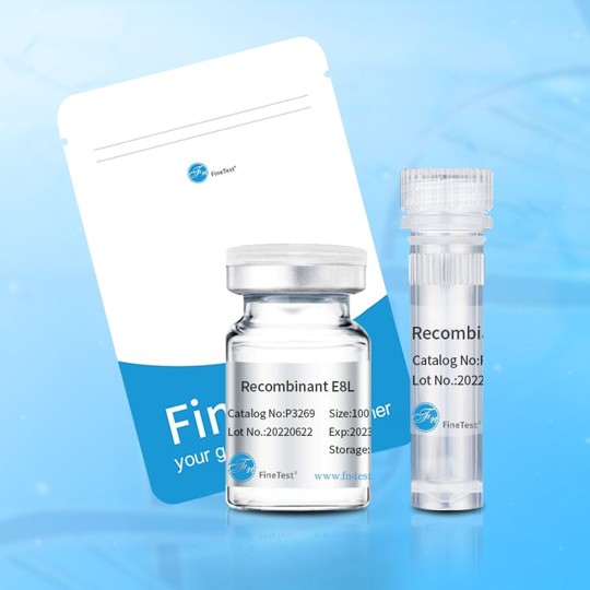 Recombinant Human AMACR