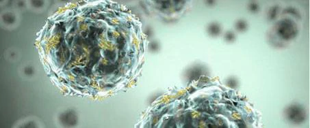 USBIO 한국공식대리점 Creative Biogene Hot Item 1