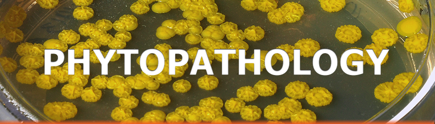 USBIO 전문수입및통관 PhytoTech Labs Hot Item 1