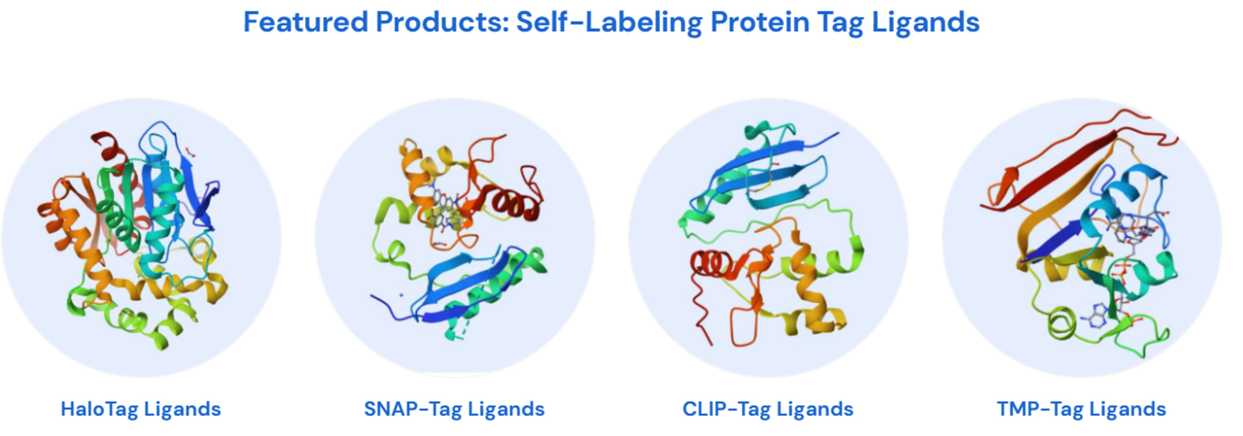 Tenova Pharma를 대표하는 이미지