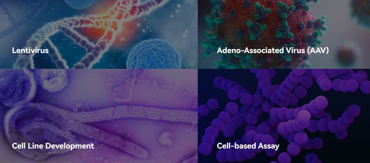 Genomeditech를 대표하는 이미지