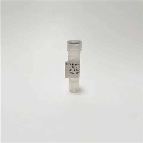 USBIO 전문수입및통관 Amid Biosciences Hot Item 1