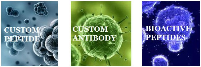 ChemPeptide를 대표하는 이미지