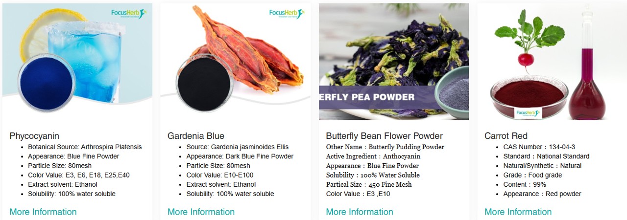 FocusHerb를 대표하는 이미지