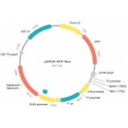 USBIO 한국공식대리점 Abbexa Hot Item 1