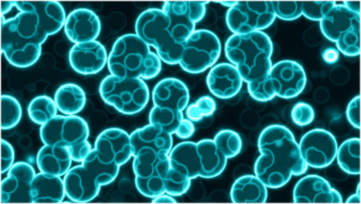 USBIO 전문수입및통관 ChemExpress Hot Item 1