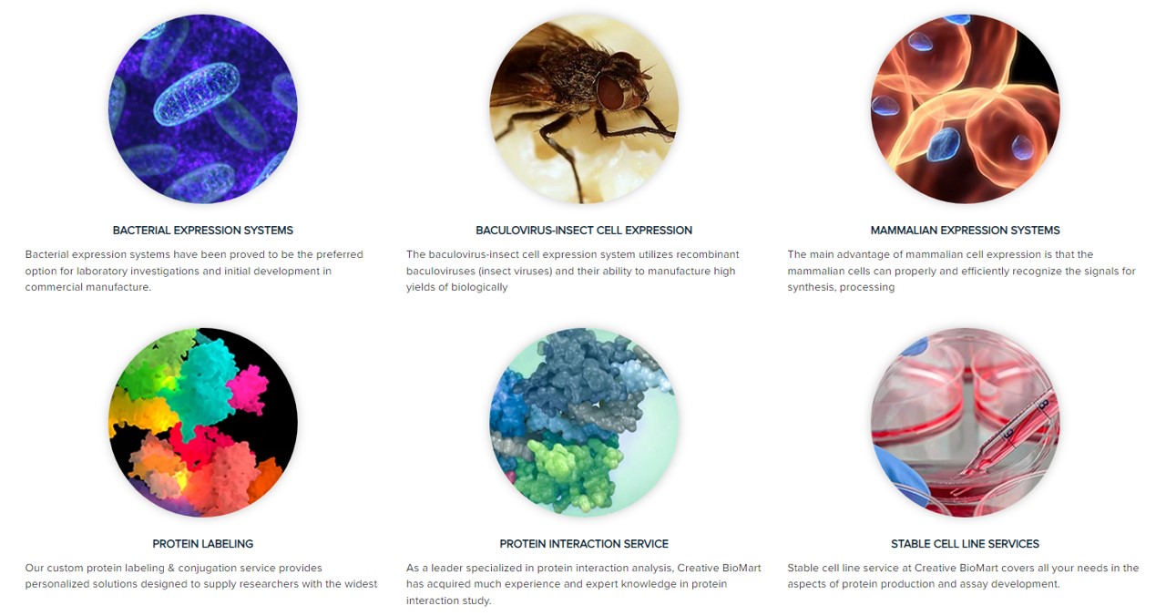 Creative Biomart를 대표하는 이미지