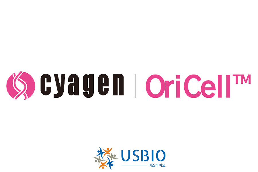 [Cyagen Biosciences] C57BL/6 Mouse Bone Marrow Mesenchymal Stem Cells | MUBMX-01001