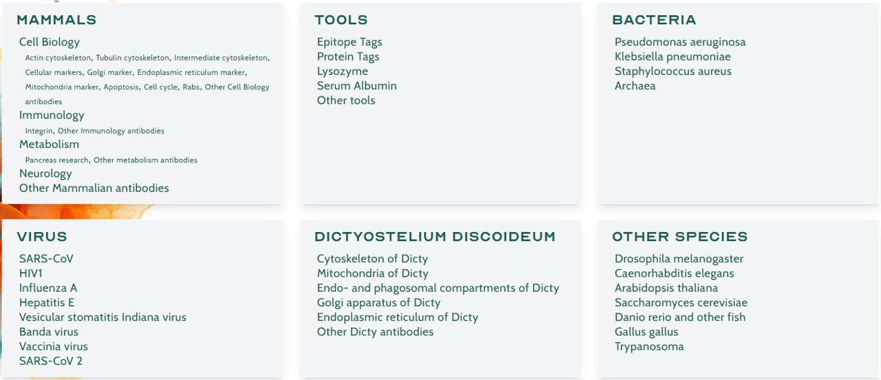 ABCD Antibodies를 대표하는 이미지