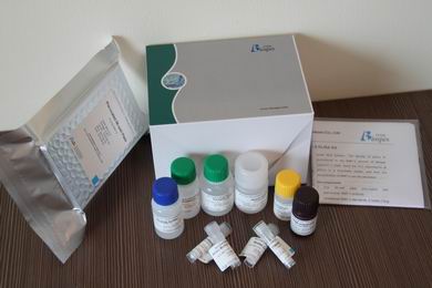 USBIO 한국공식대리점 Biospes Hot Item 1