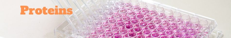 USBIO 한국공식대리점 Biomatik Hot Item 1