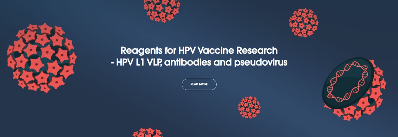 Creative Diagnostics를 대표하는 이미지 3