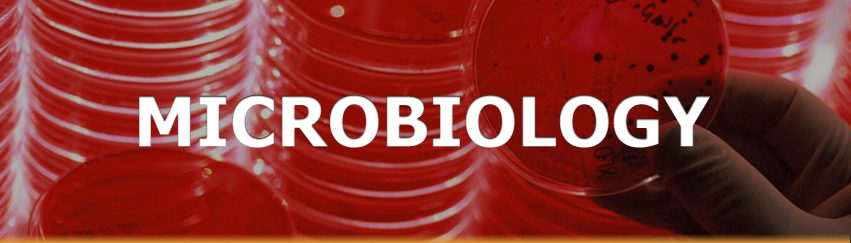 USBIO 전문수입및통관 PhytoTech Labs Hot Item 1