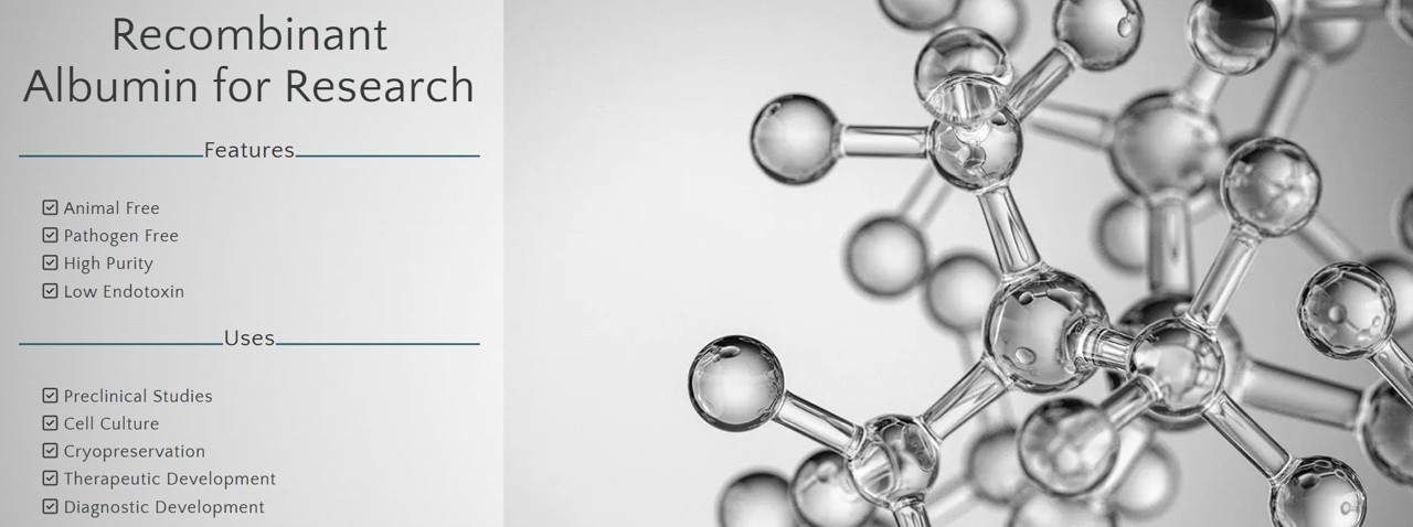 Albumin Bioscience를 대표하는 이미지