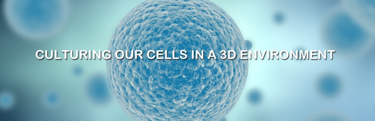 Alphabioregen를 대표하는 이미지