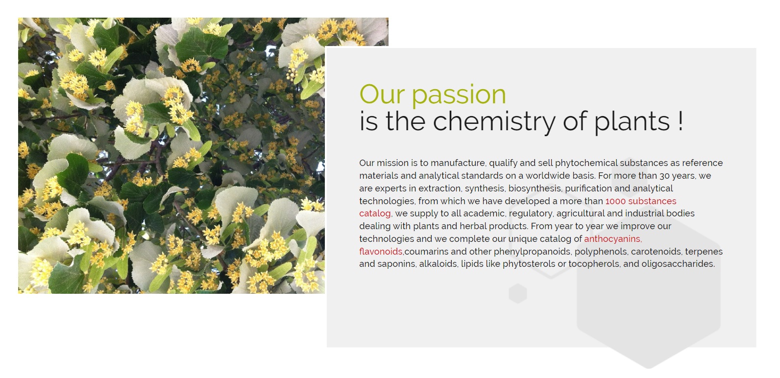 Extrasynthese를 대표하는 이미지