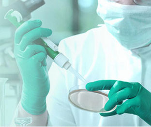 USBIO 한국공식대리점 Biospes Hot Item 1