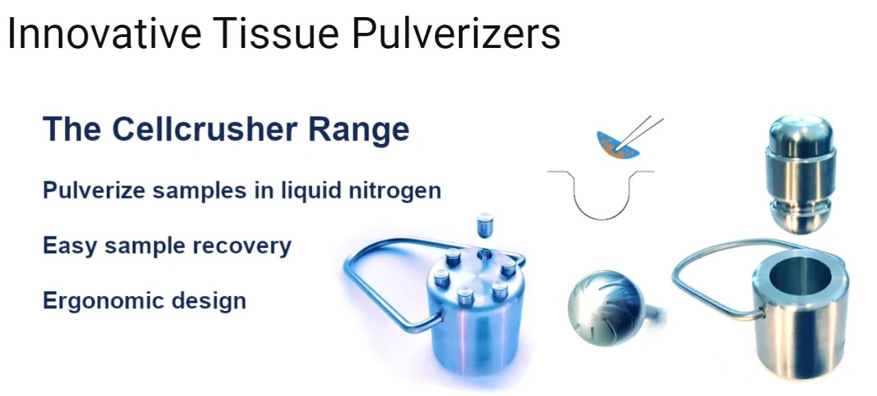 Cellcrusher를 대표하는 이미지