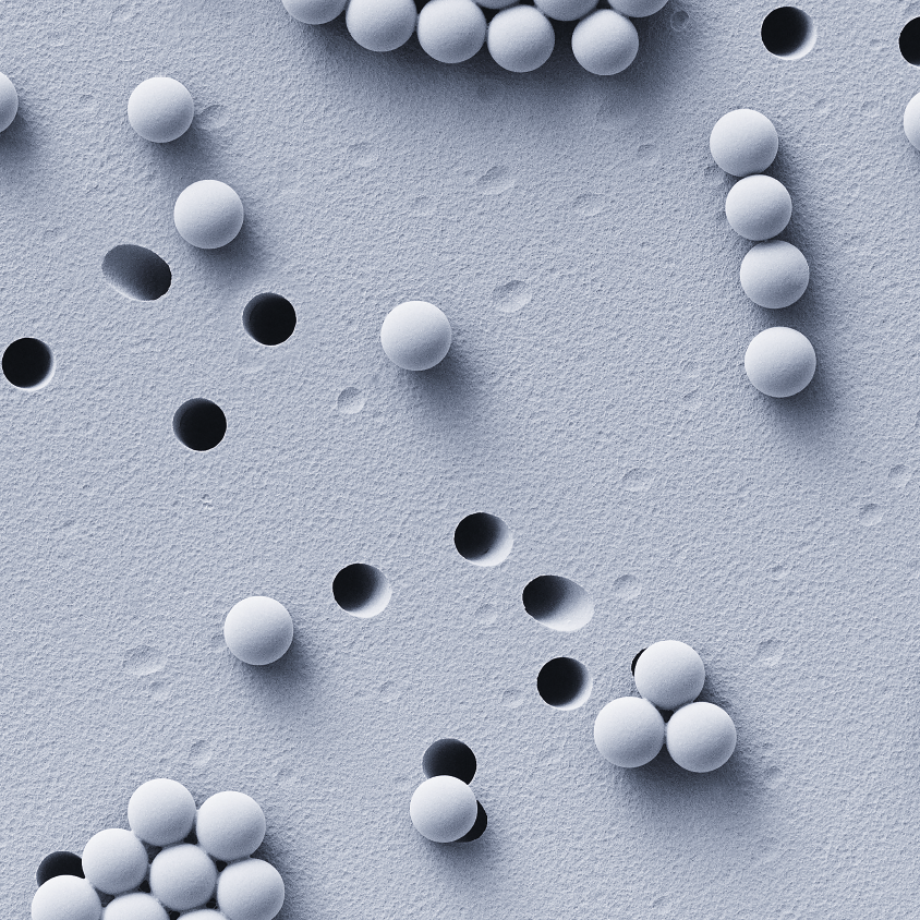 USBIO 전문수입및통관 SABEU Hot Item 1