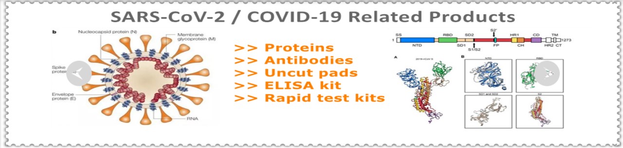 Biospes를 대표하는 이미지