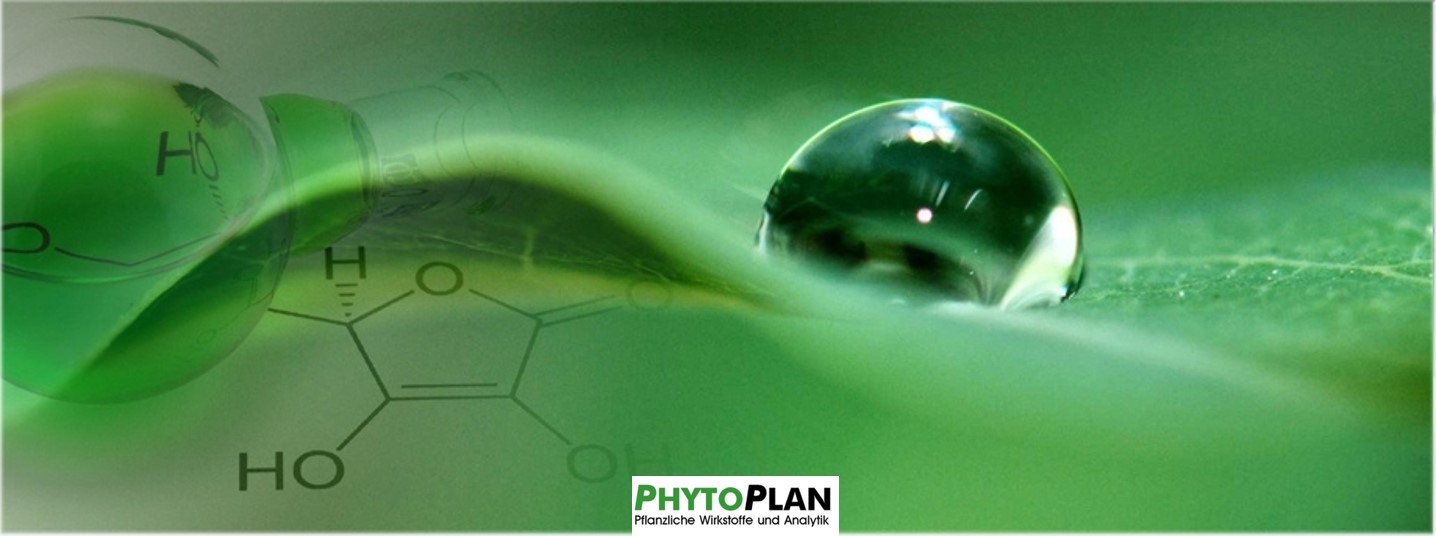 Phytoplan를 대표하는 이미지