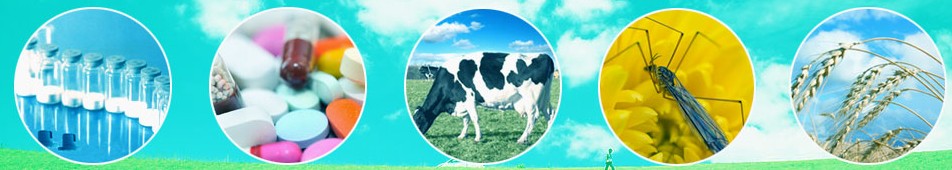 Chemieliva를 대표하는 이미지