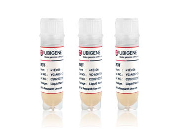 USBIO 한국공식대리점 Ubigene Hot Item 1