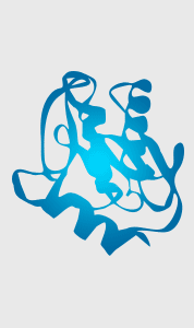 USBIO 전문수입및통관 Cusabio Hot Item 1