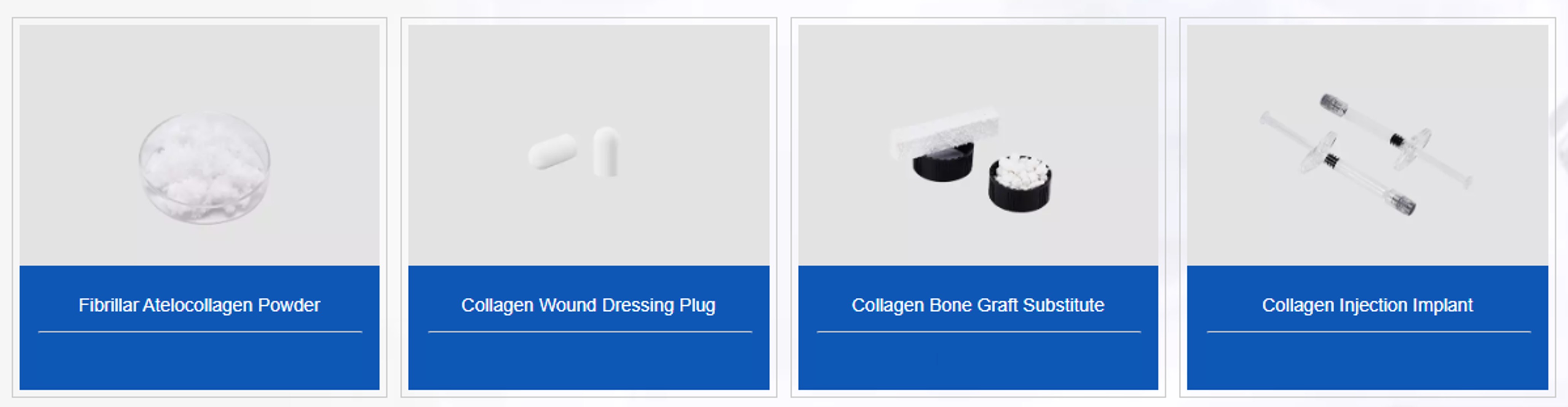 Victory Biotech를 대표하는 이미지