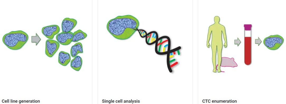 VyCAP를 대표하는 이미지