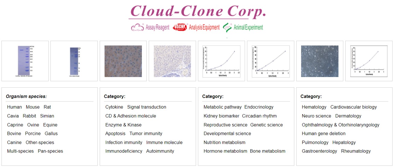 Cloud-Clone를 대표하는 이미지