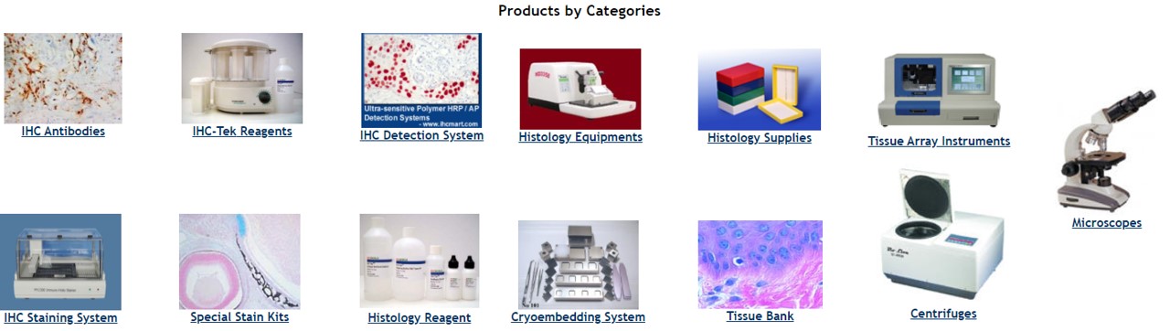 IHC World를 대표하는 이미지