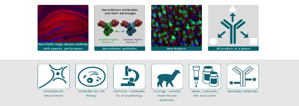 Synaptic Systems를 대표하는 이미지