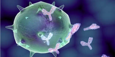 USBIO 한국공식대리점 Creative Diagnostics Hot Item 1