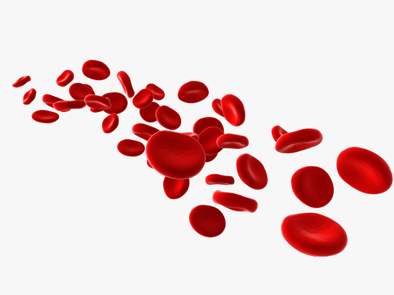 USBIO 전문수입및통관 pluriSelect Hot Item 1