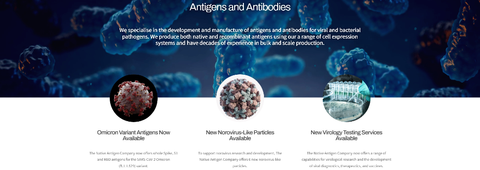 The Native Antigen를 대표하는 이미지