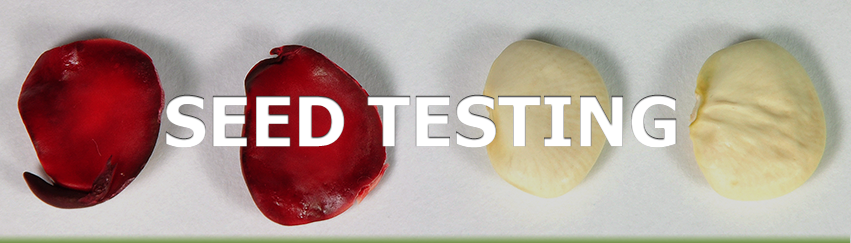 USBIO 전문수입및통관 PhytoTech Labs Hot Item 1