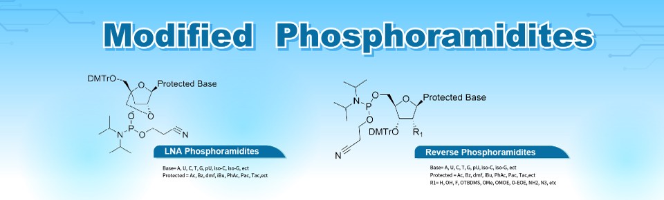Amadis Chemical를 대표하는 이미지