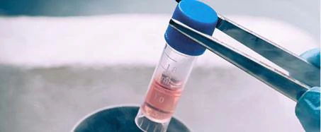 USBIO 한국공식대리점 Creative Biogene Hot Item 1