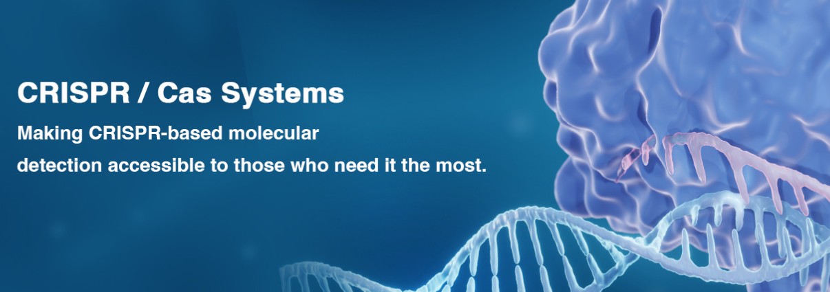 Tolo Biotech를 대표하는 이미지