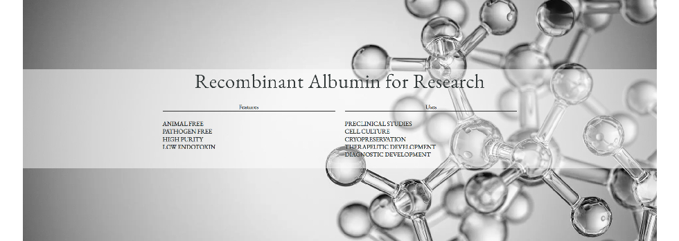 Albumin Bioscience를 대표하는 이미지